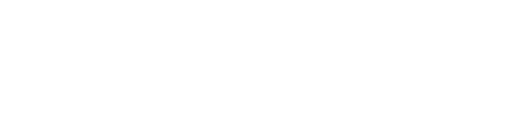 Venture Finance Bank